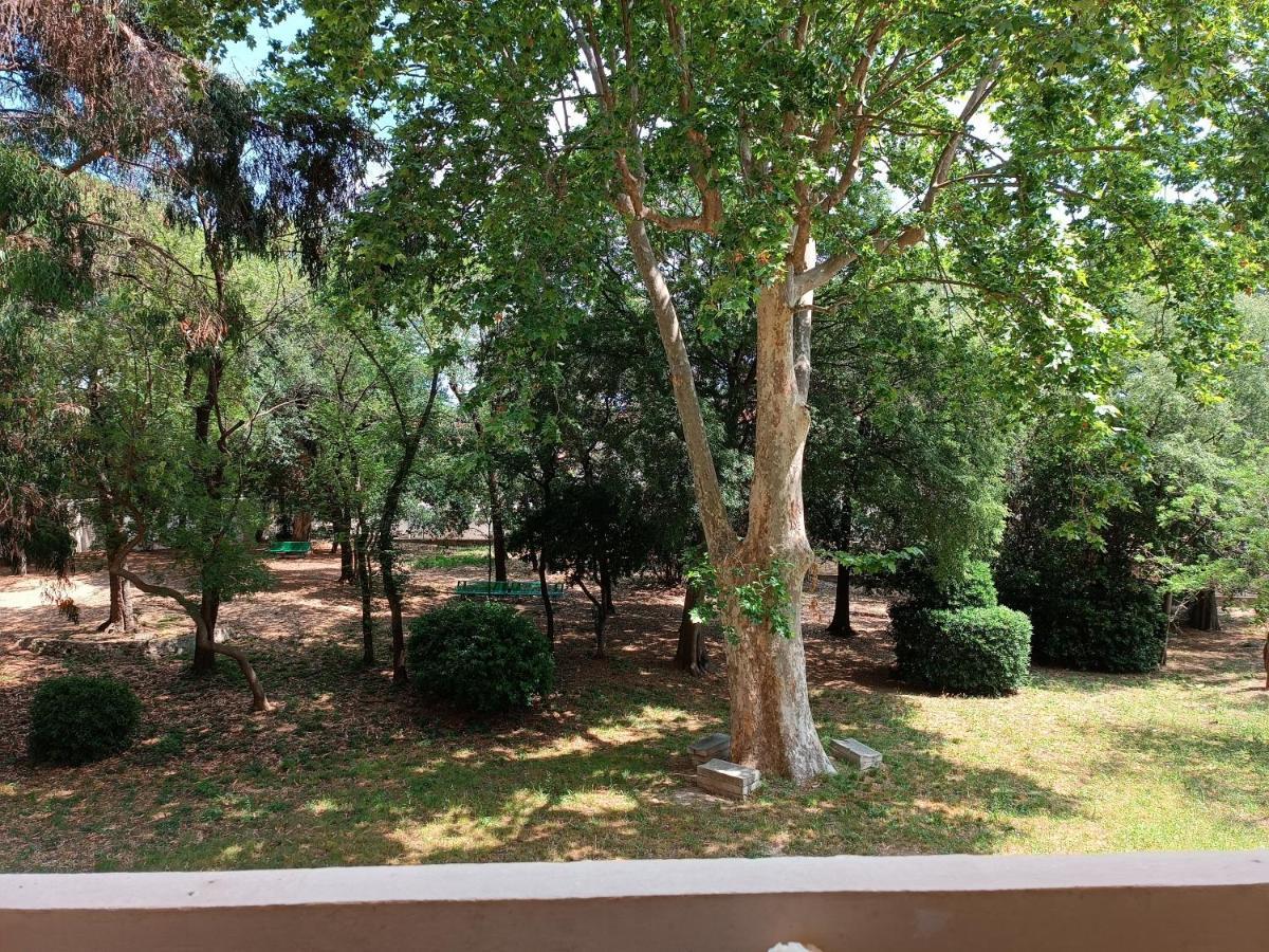 Apartament Chez Isa Tulon Zewnętrze zdjęcie